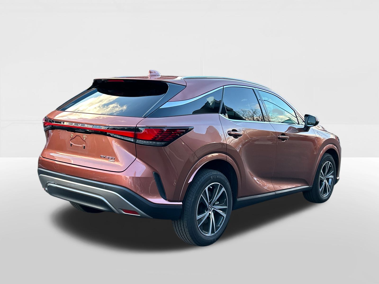 2024 Lexus RX  4