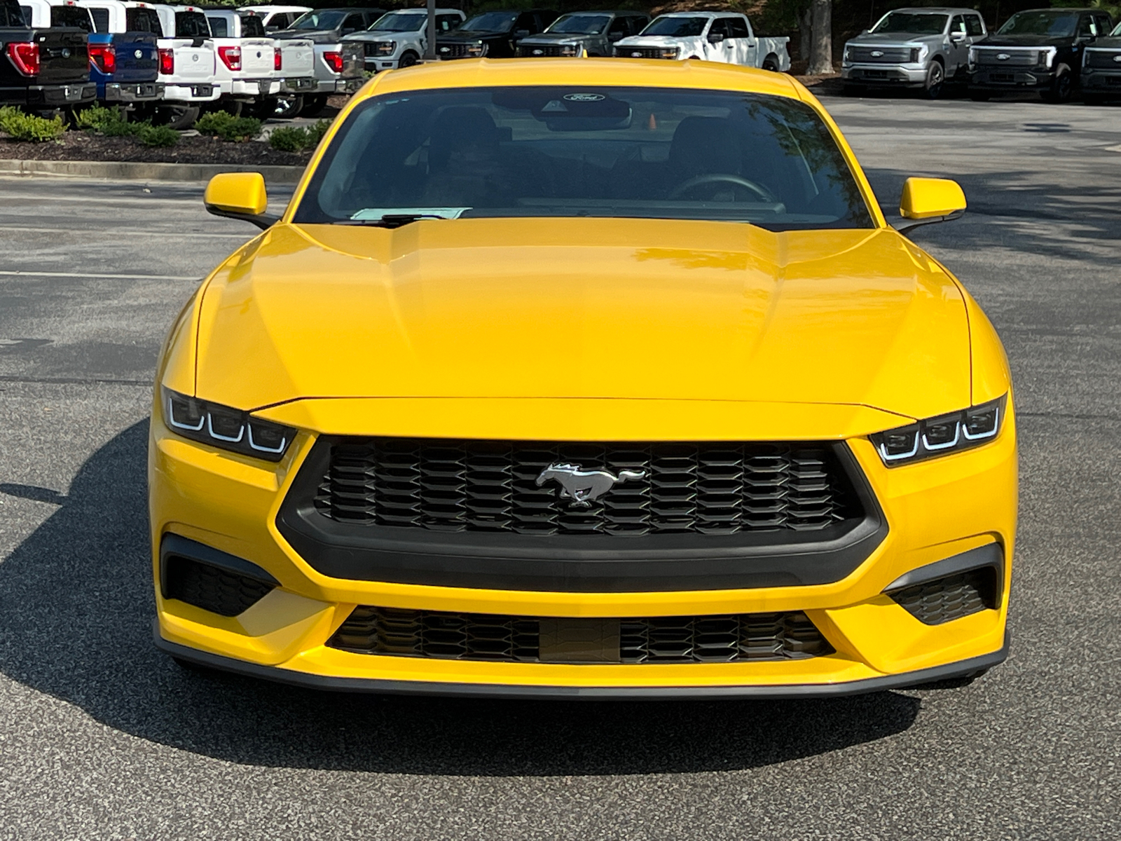 2024 Ford Mustang EcoBoost 8