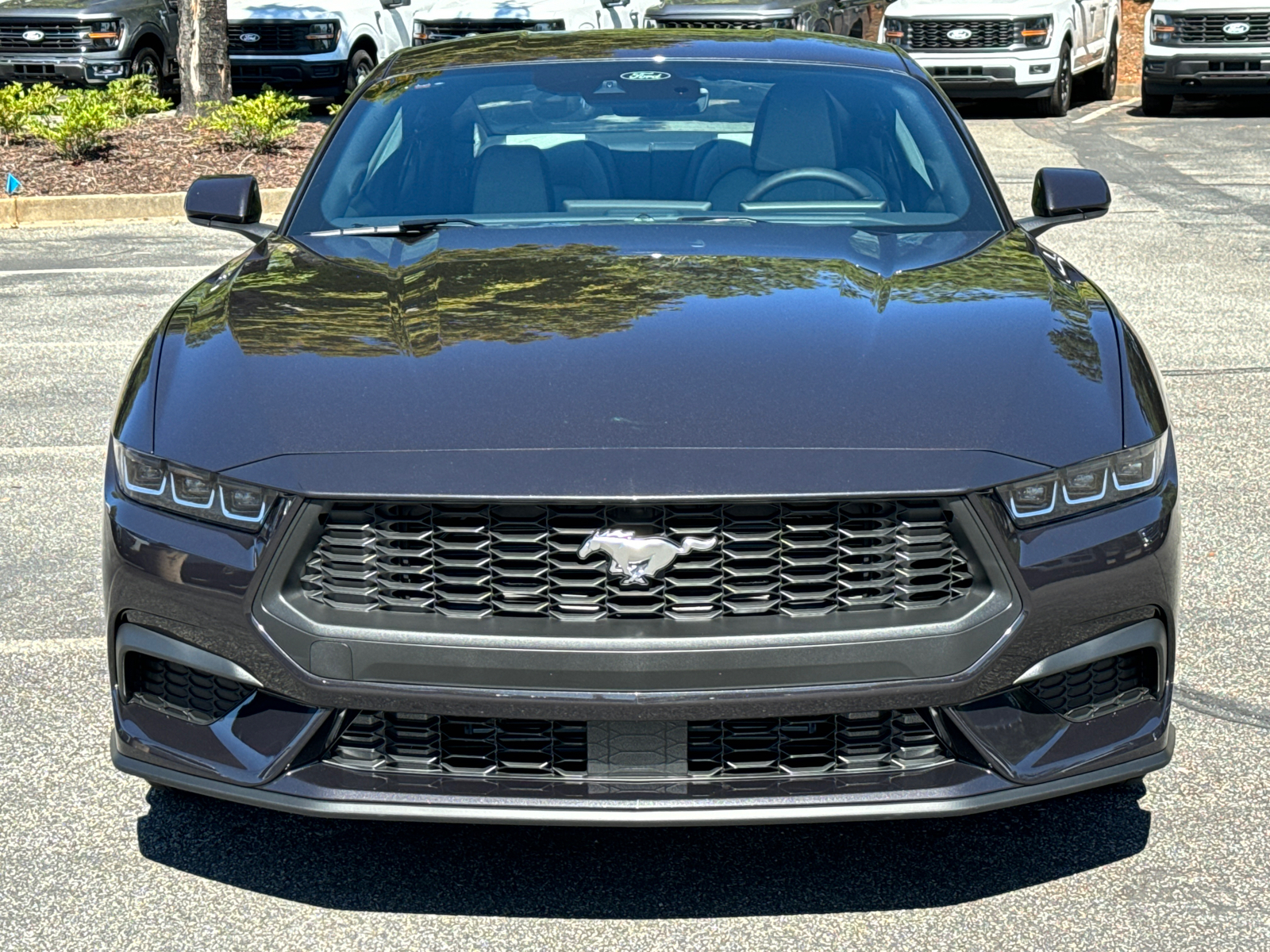 2024 Ford Mustang EcoBoost 2