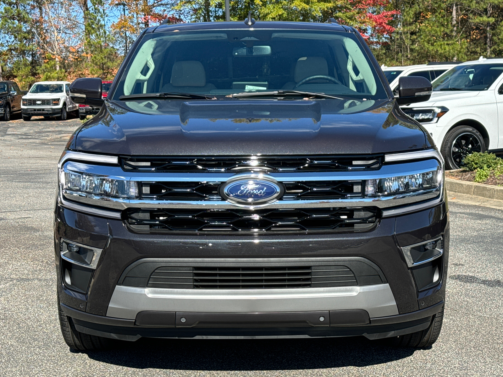 2024 Ford Expedition Limited 2