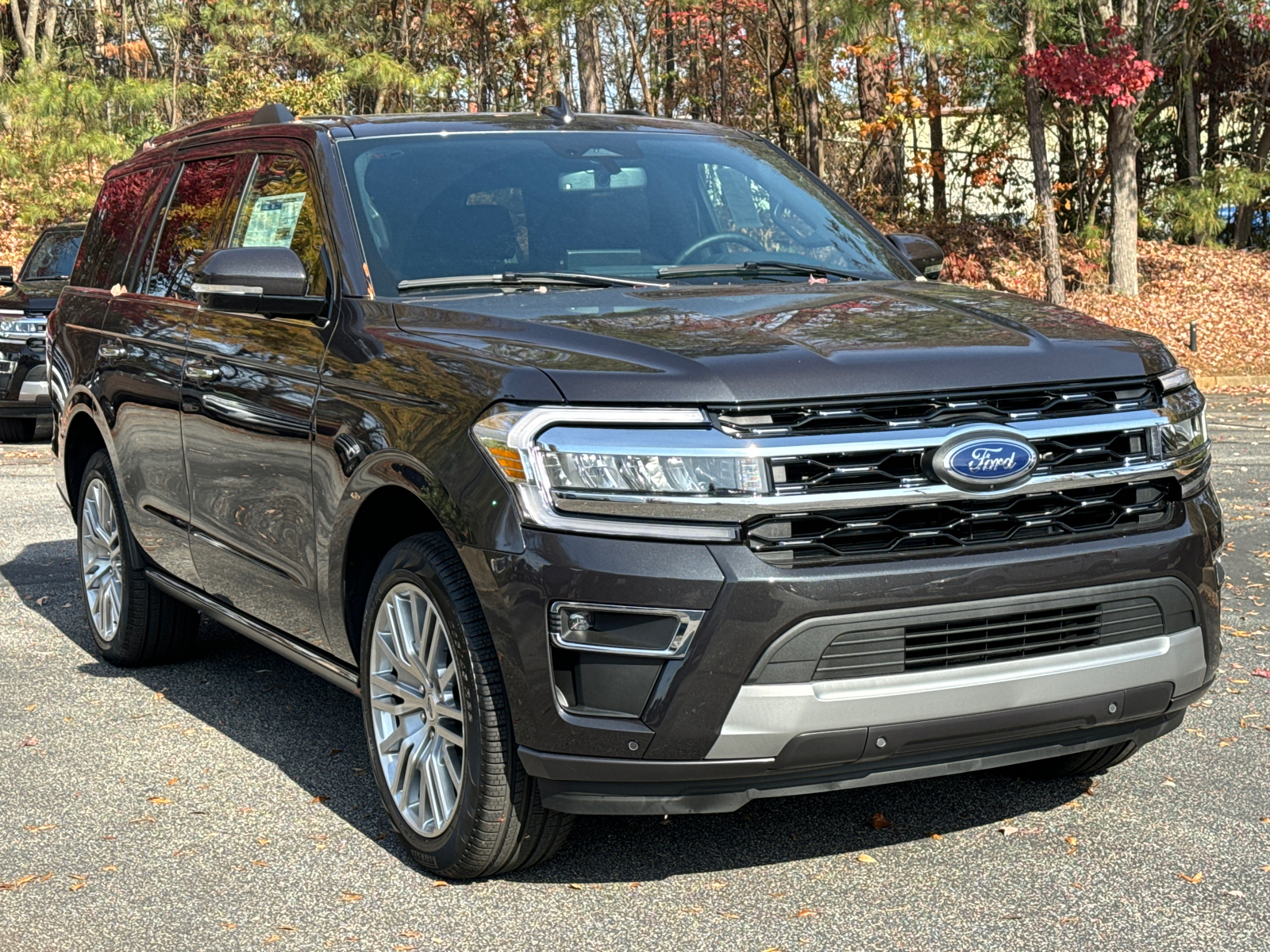 2024 Ford Expedition Limited 3