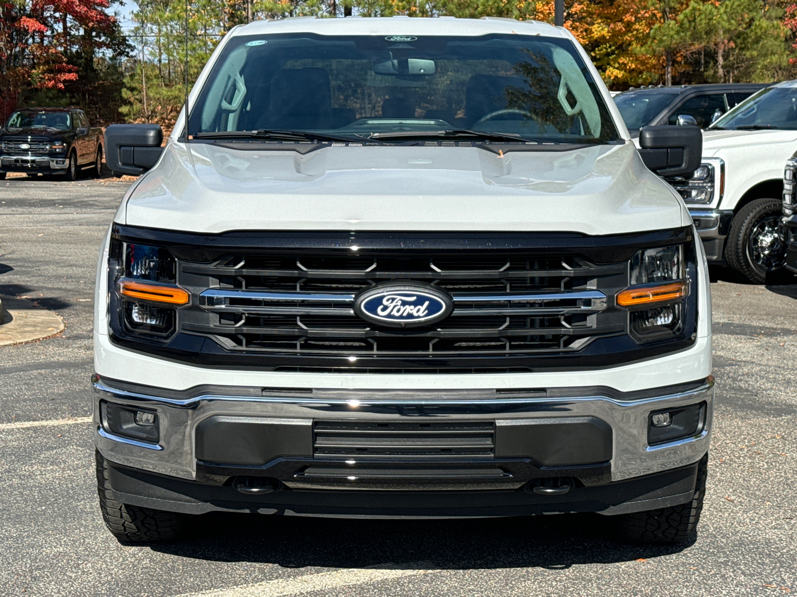 2024 Ford F-150 XLT 2