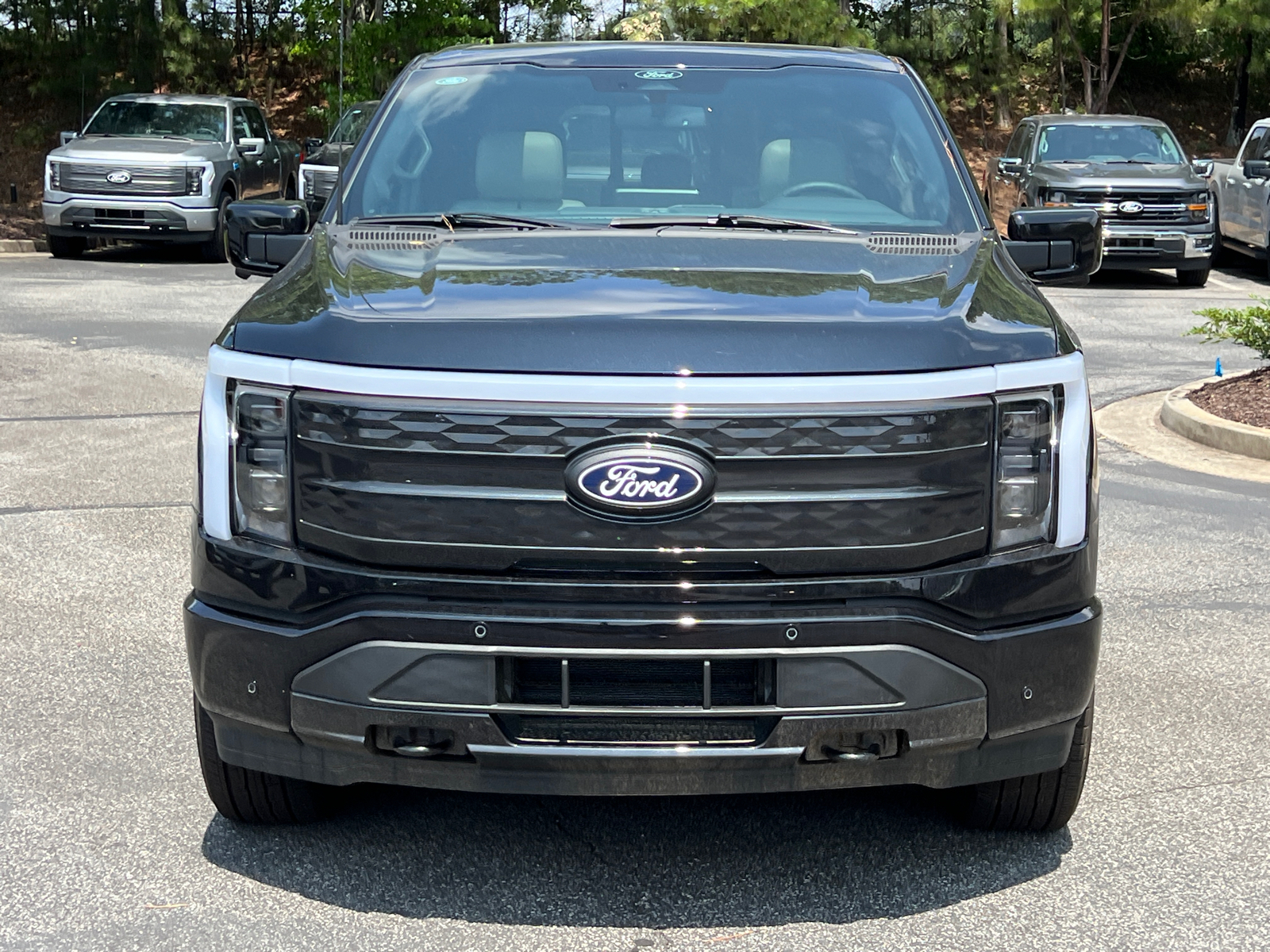 2024 Ford F-150 Lightning Platinum 8