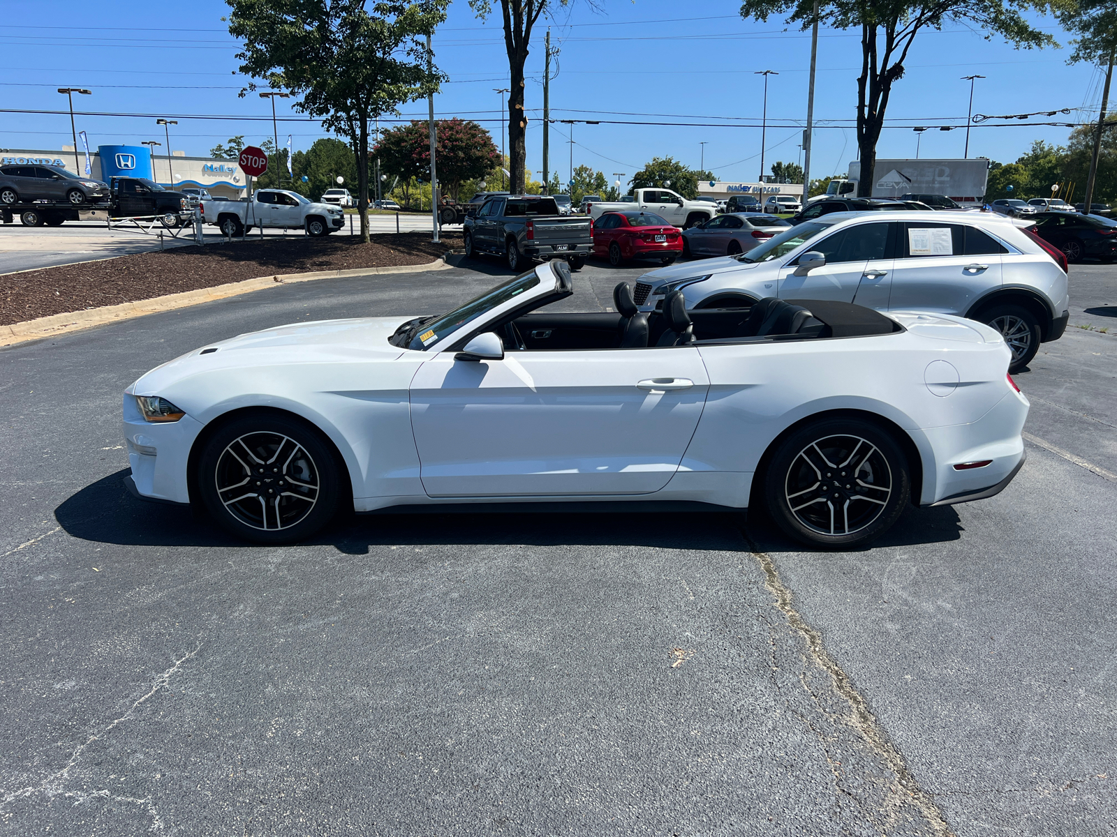 2021 Ford Mustang EcoBoost 34