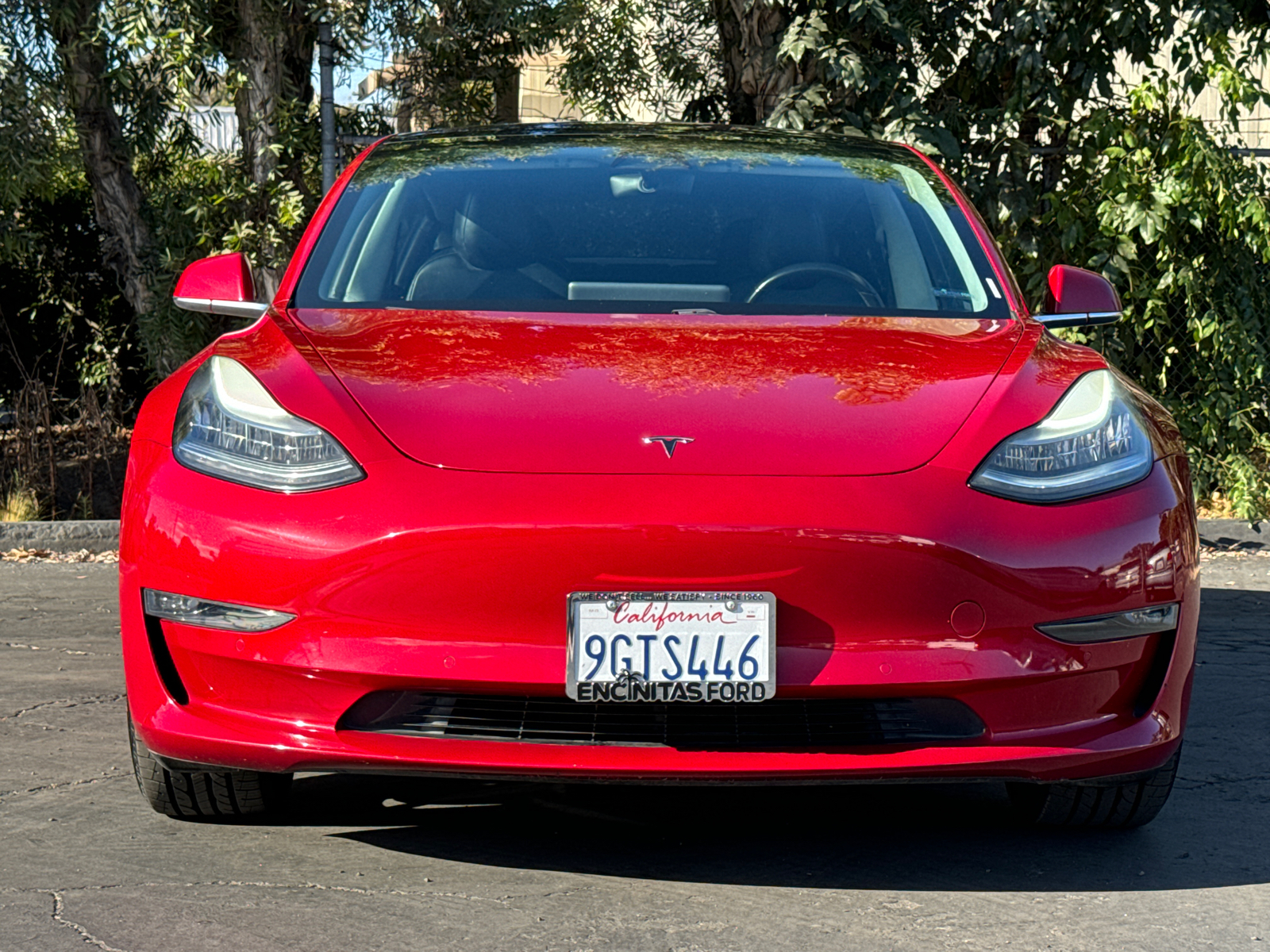 2019 Tesla Model 3 Standard Range Plus 6