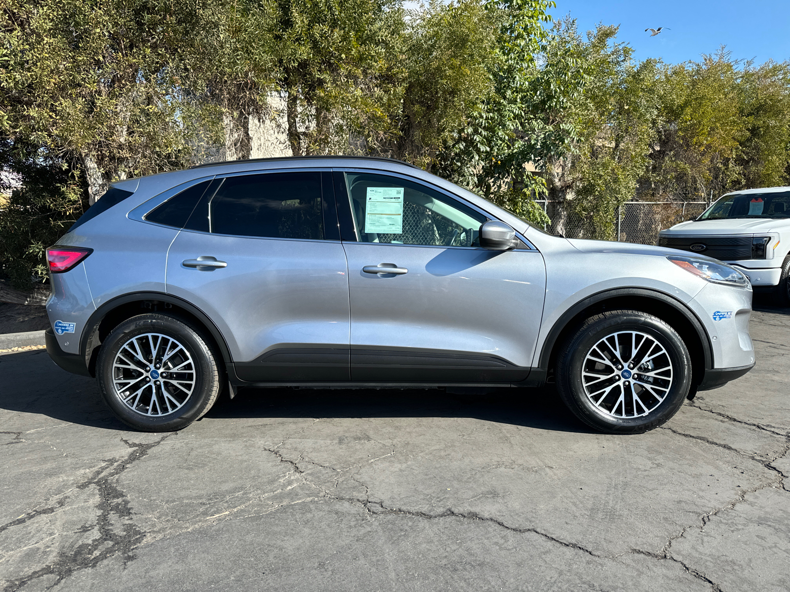 2021 Ford Escape Titanium Plug-In Hybrid 7