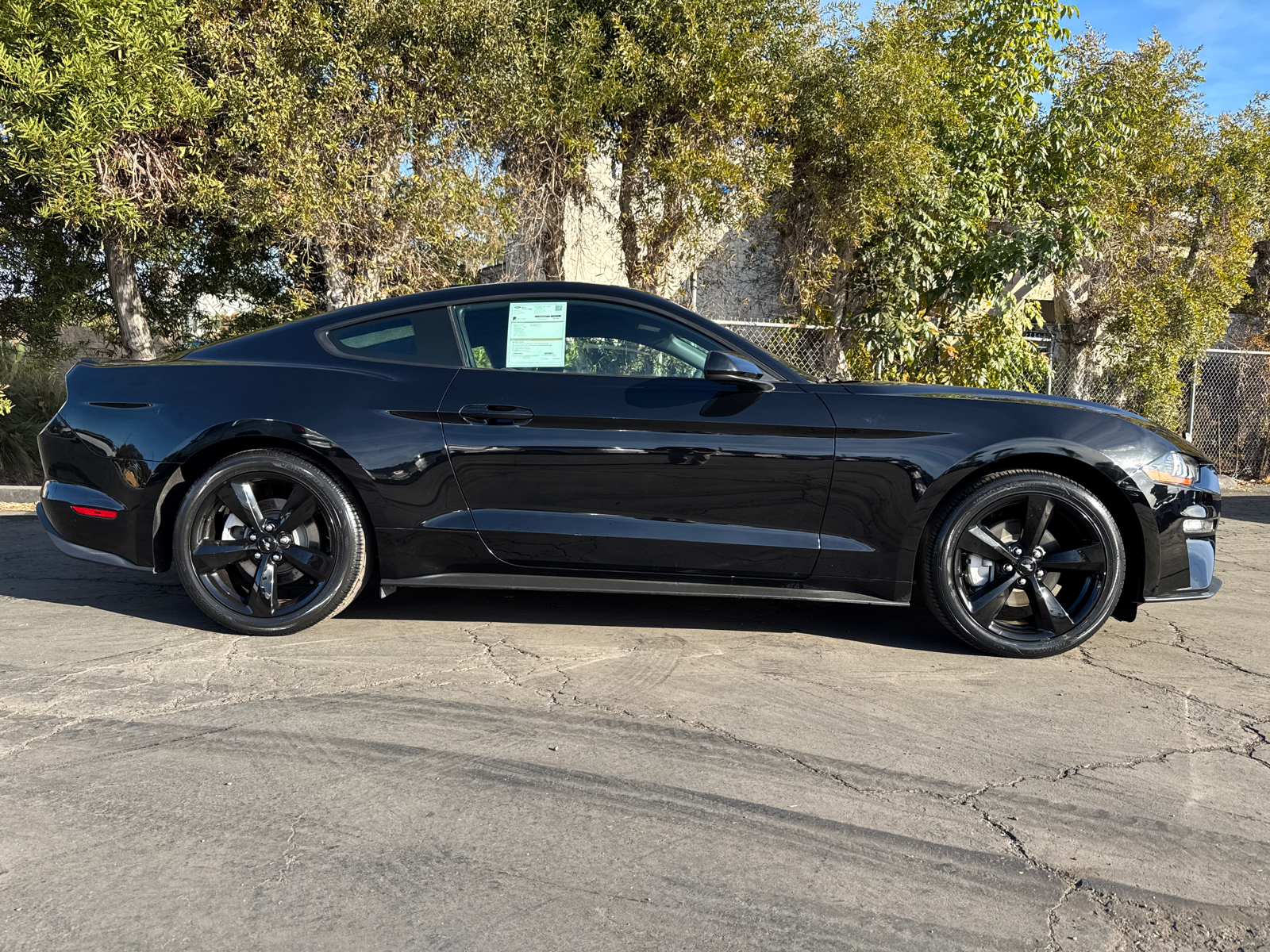 2021 Ford Mustang EcoBoost 7