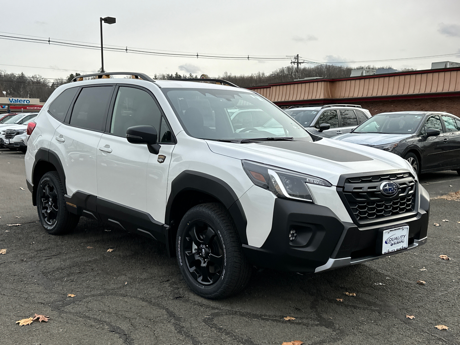 2024 Subaru Forester Wilderness 5