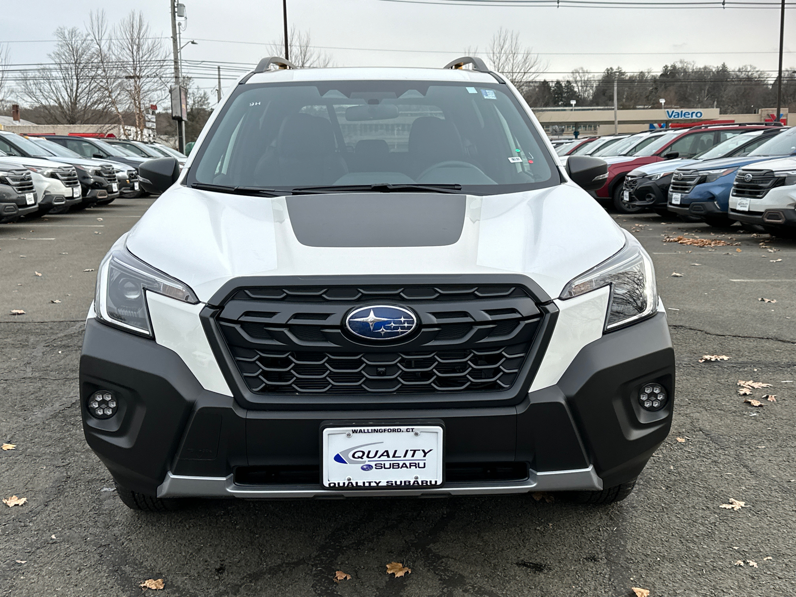 2024 Subaru Forester Wilderness 6