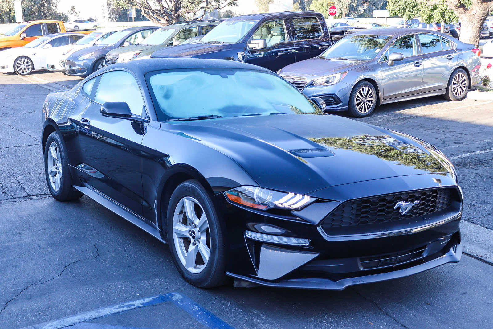 2019 Ford Mustang EcoBoost 3