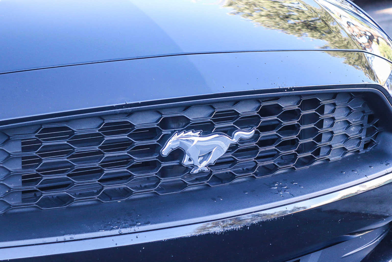 2019 Ford Mustang EcoBoost 5