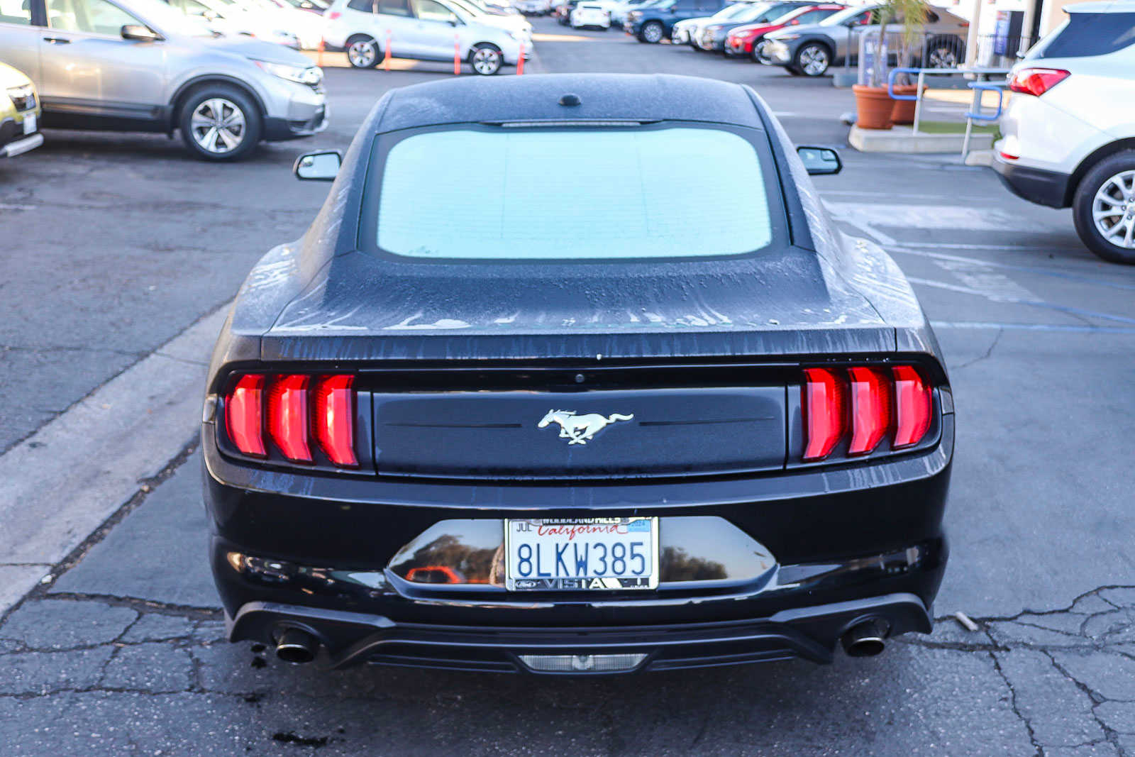 2019 Ford Mustang EcoBoost 10