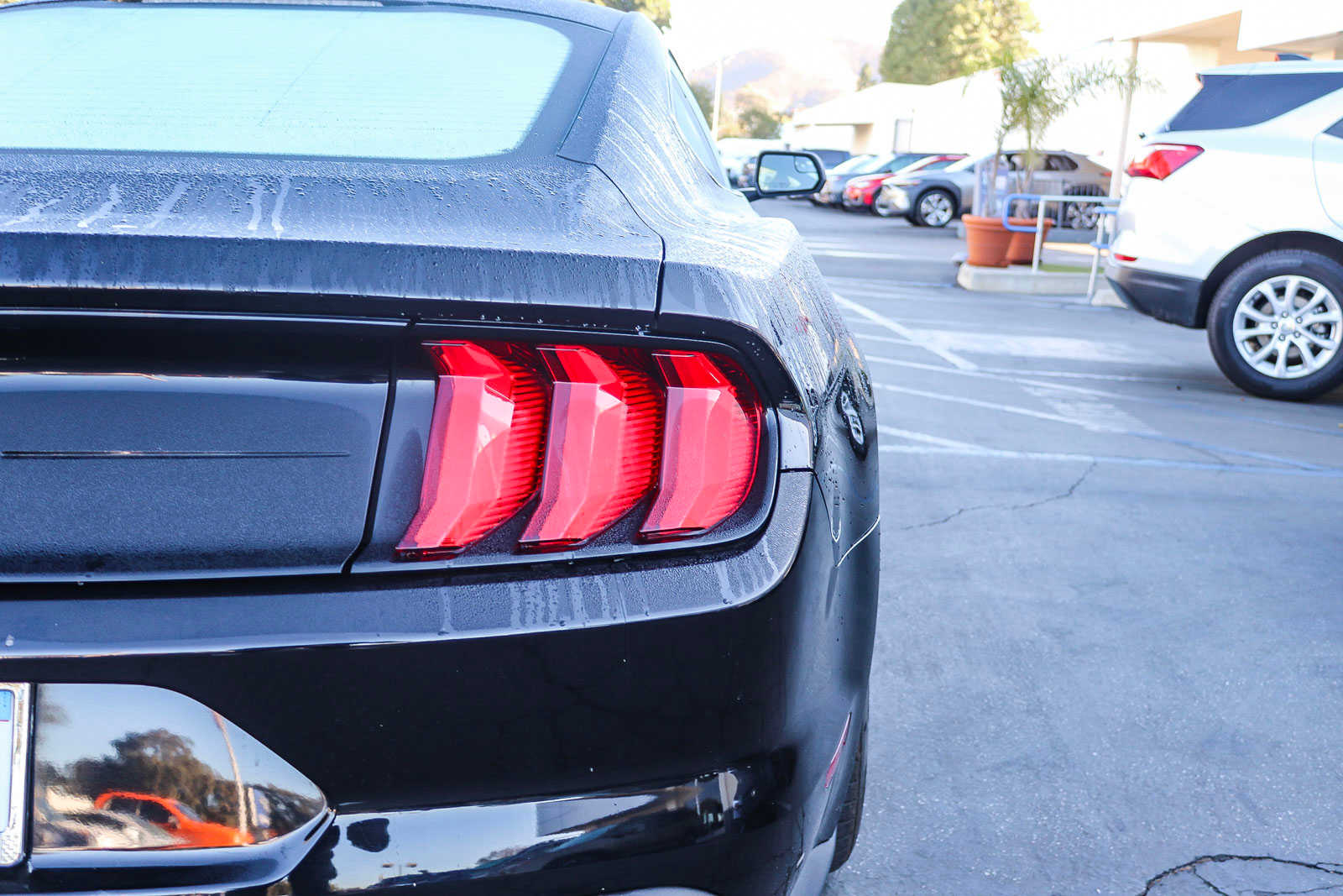 2019 Ford Mustang EcoBoost 12