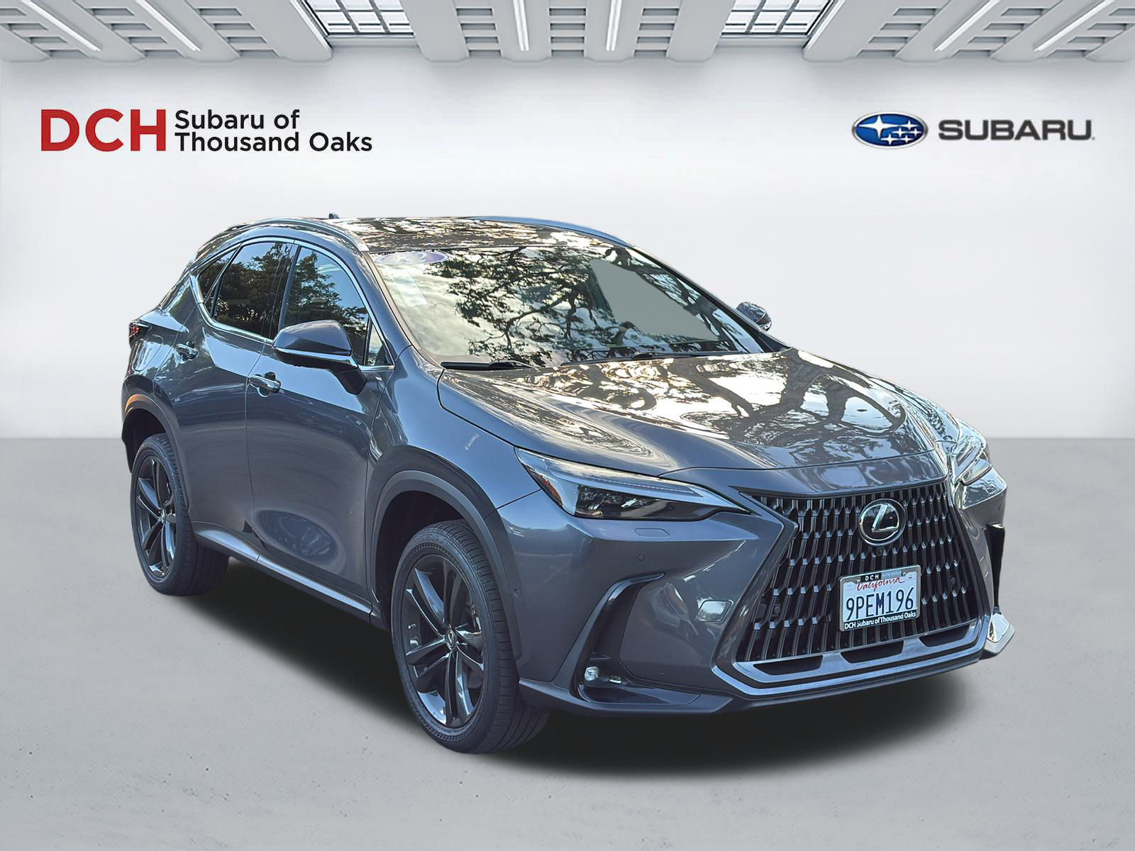 2022 Lexus NX Luxury  3