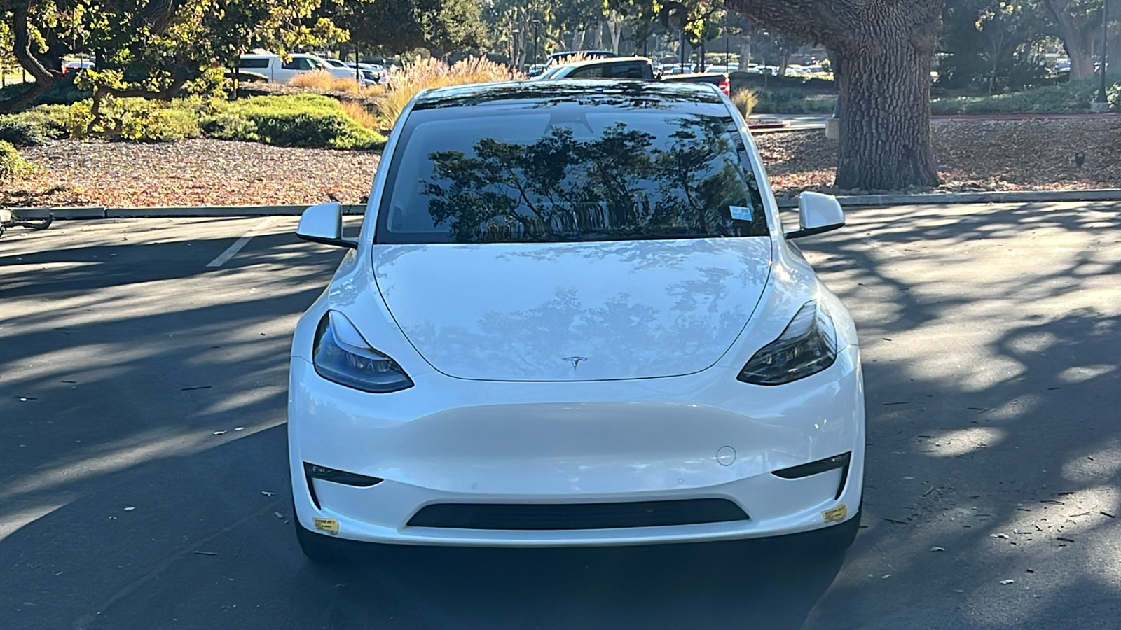 2022 Tesla Model Y Performance 2