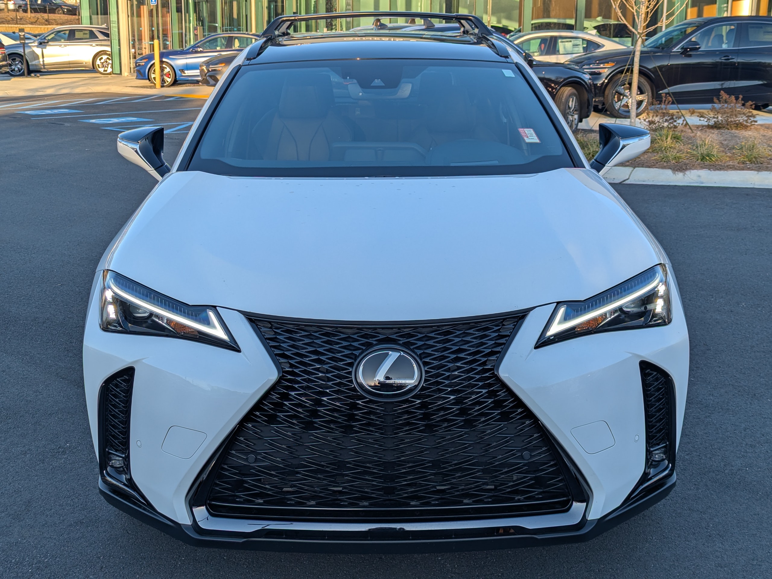 2023 Lexus UX 250h F SPORT Handling 2