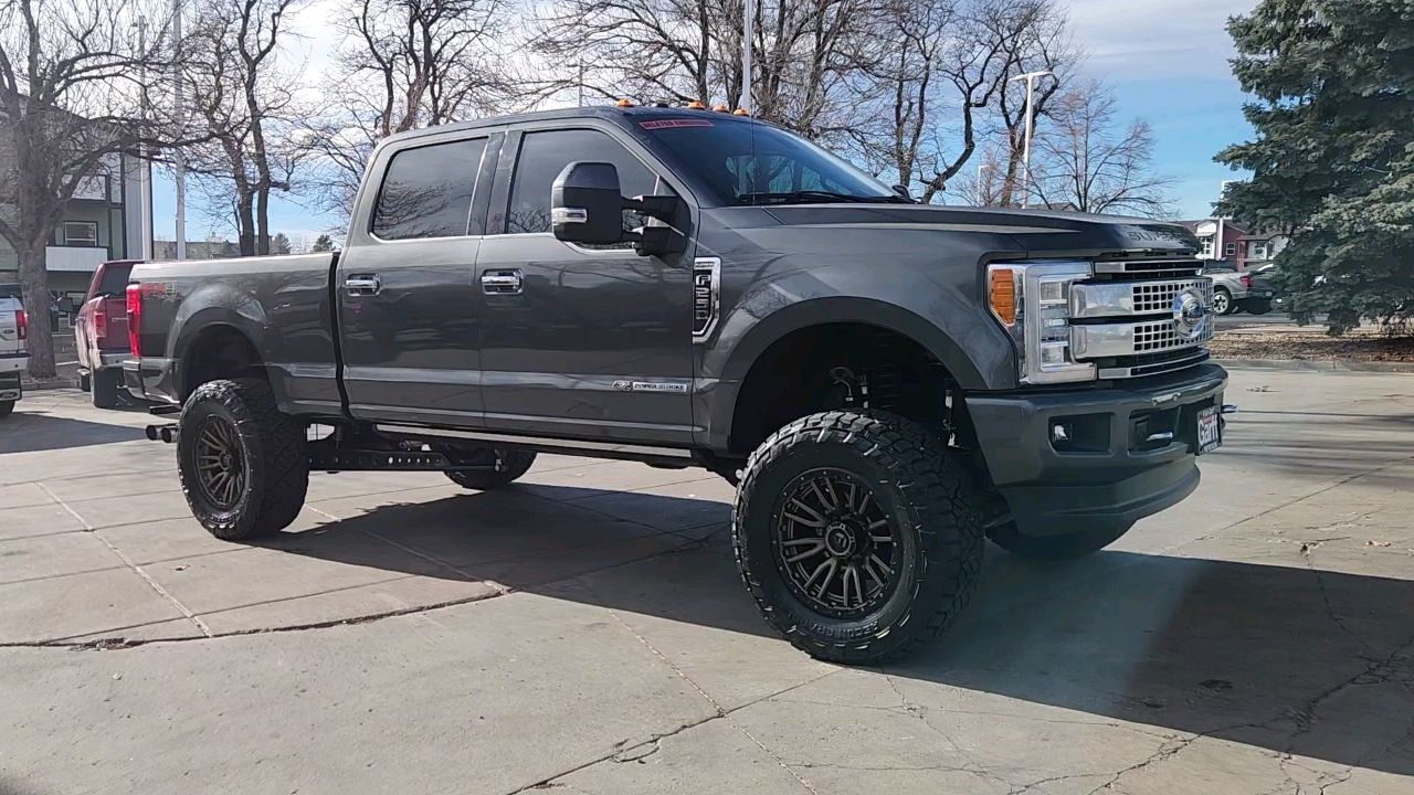 2018 Ford Super Duty F-250 SRW Platinum 8