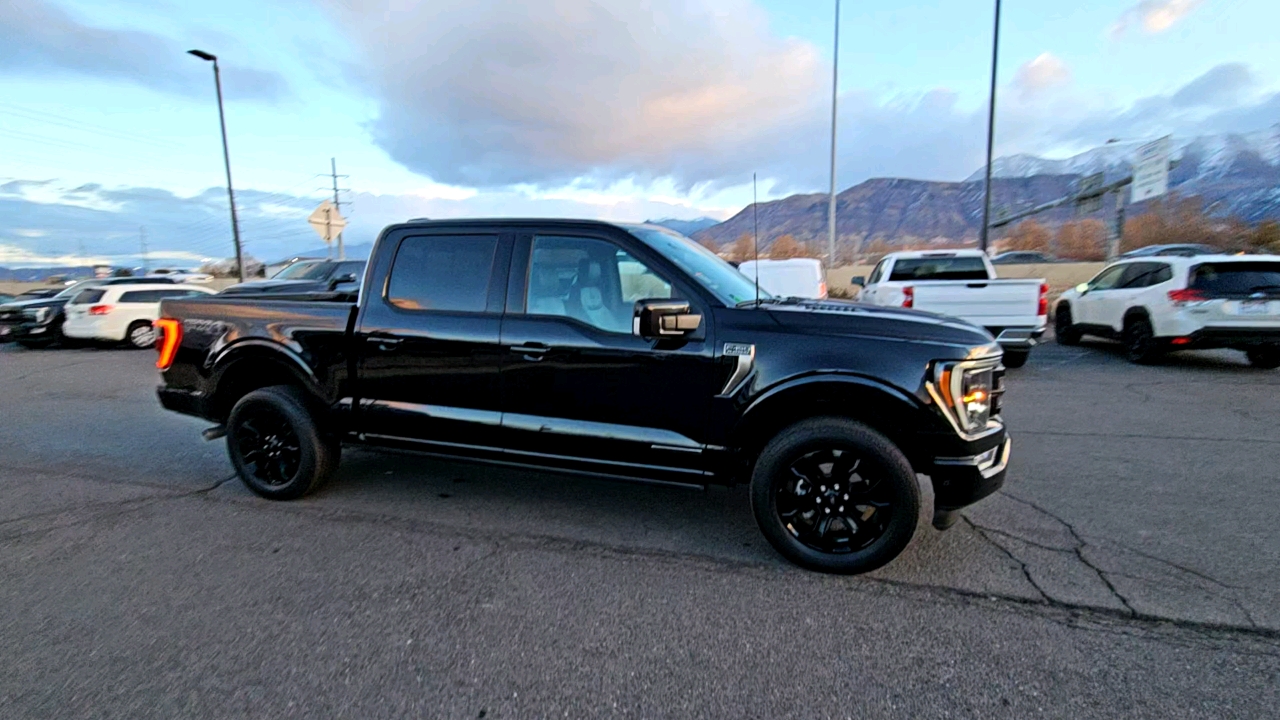 2022 Ford F-150 Platinum 6