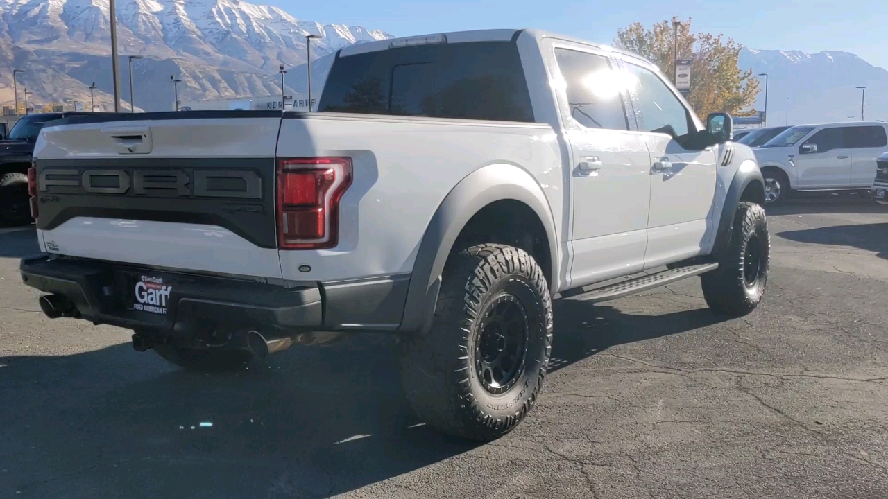 2020 Ford F-150 Raptor 5