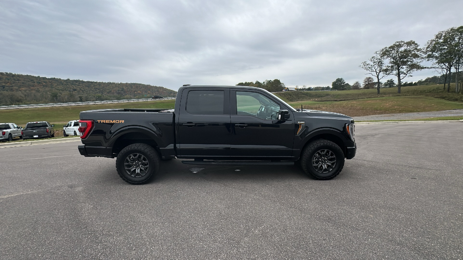 2021 Ford F-150 Tremor 7