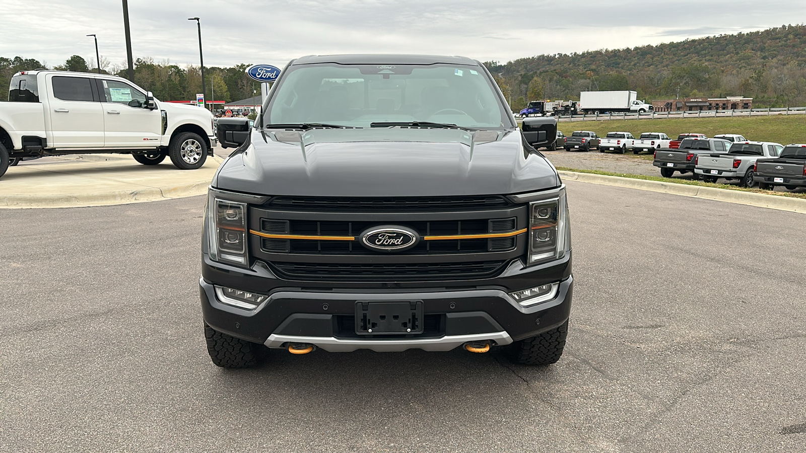 2021 Ford F-150 Tremor 9