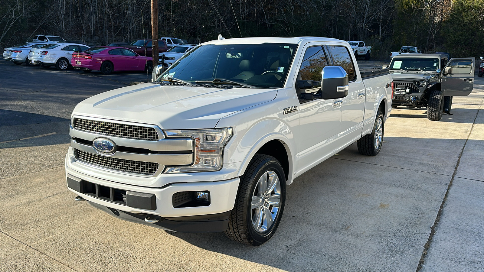 2020 Ford F-150 Platinum 1