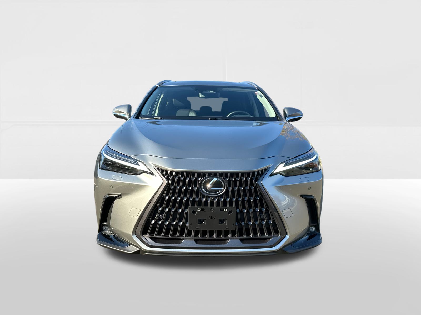 2024 Lexus NX 450h+ Luxury 6