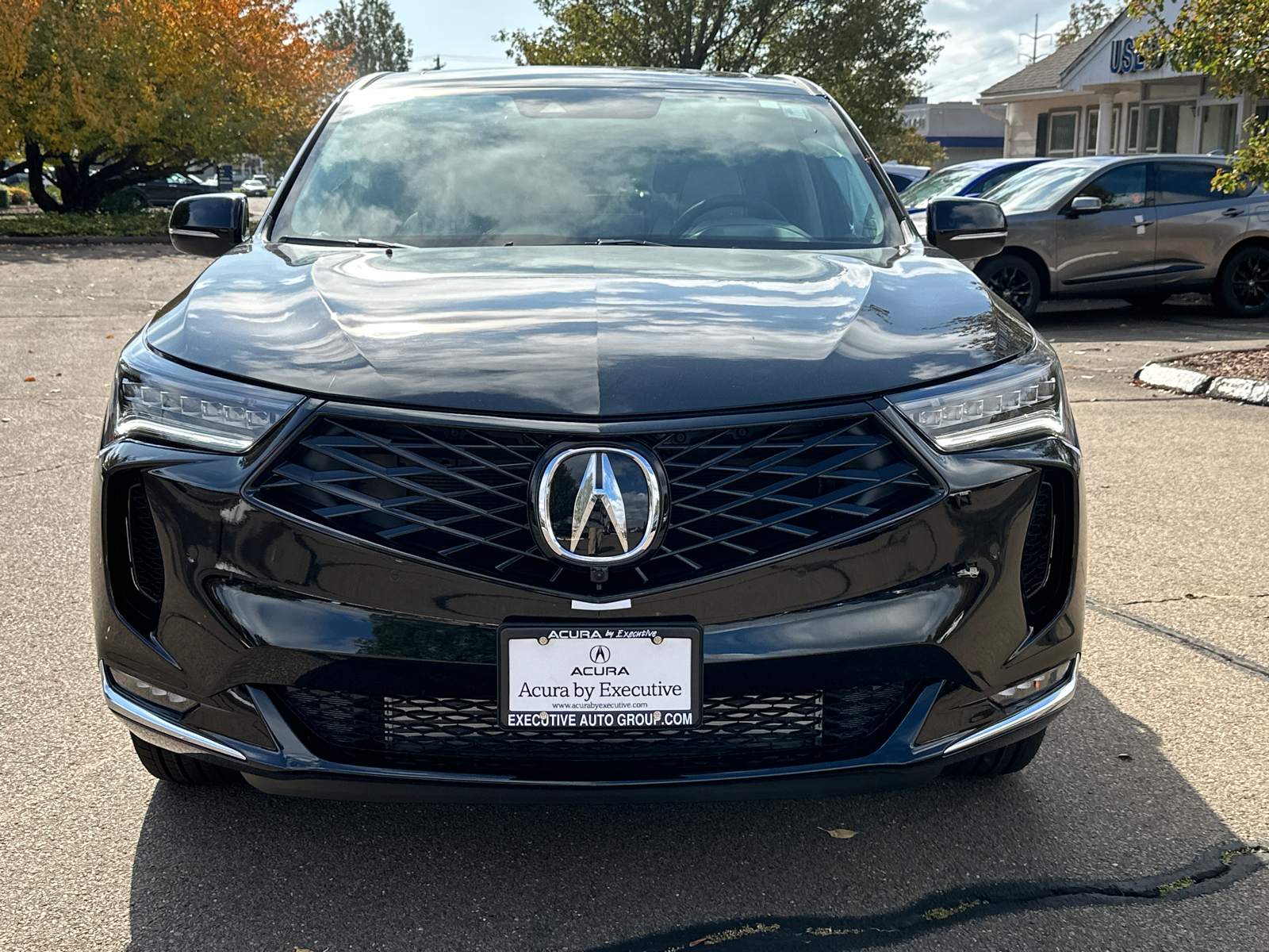 2025 Acura RDX Advance Package 6