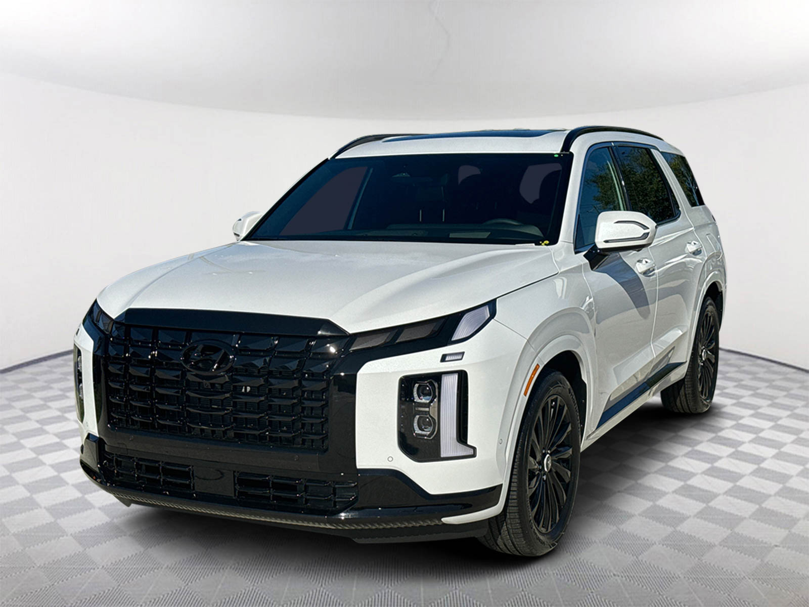 2025 Hyundai Palisade Calligraphy Night Edition 3