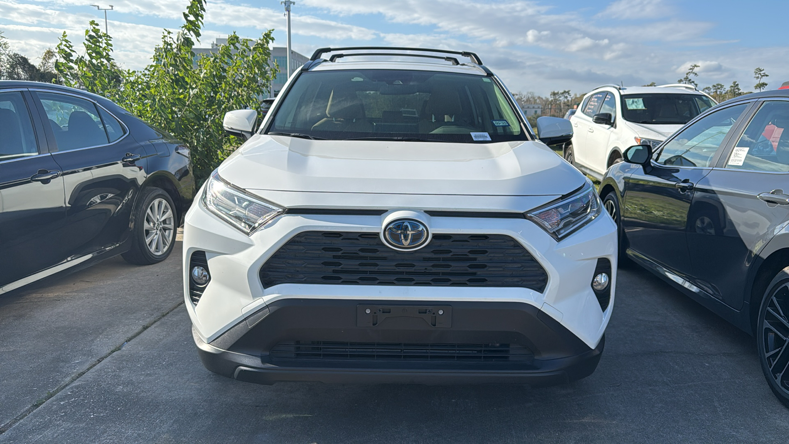 2019 Toyota RAV4 Hybrid XLE 2