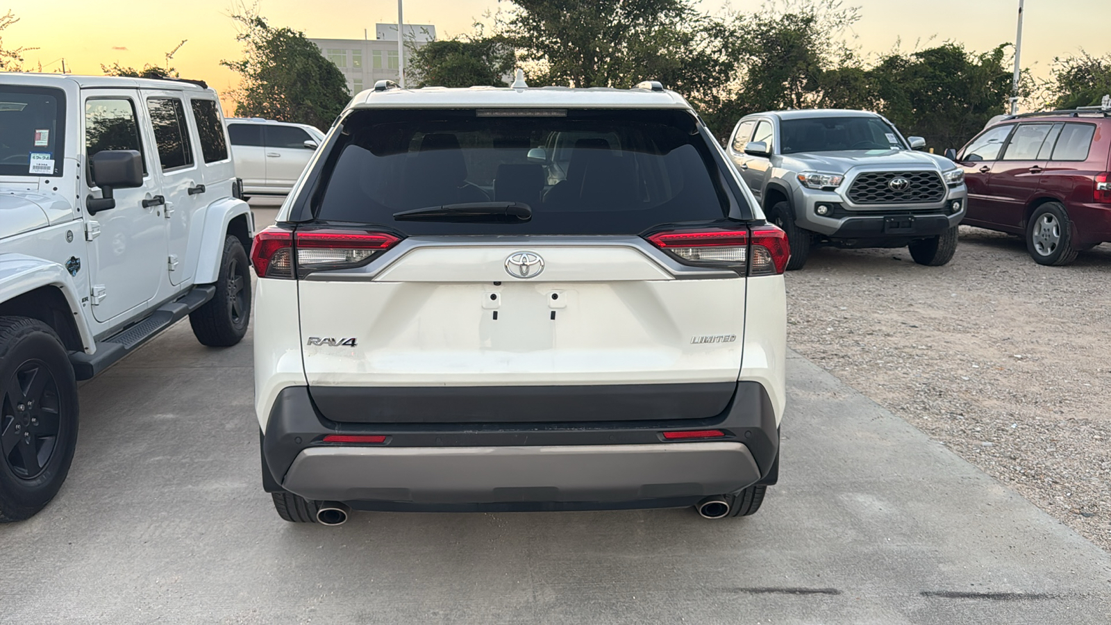 2019 Toyota RAV4 Limited 6