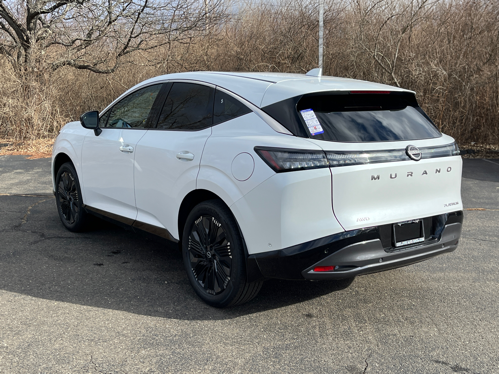 2025 Nissan Murano Platinum 4