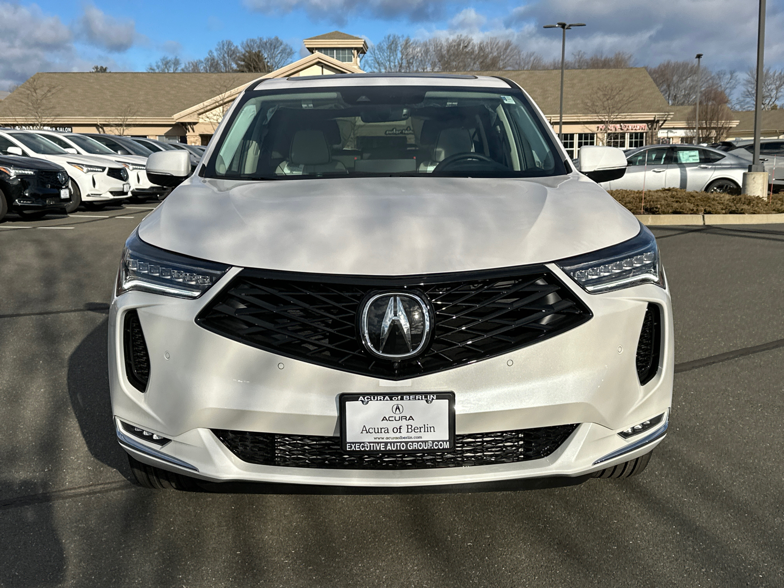 2025 Acura RDX Advance Package 6