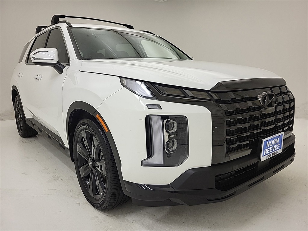 2024 Hyundai Palisade XRT 18