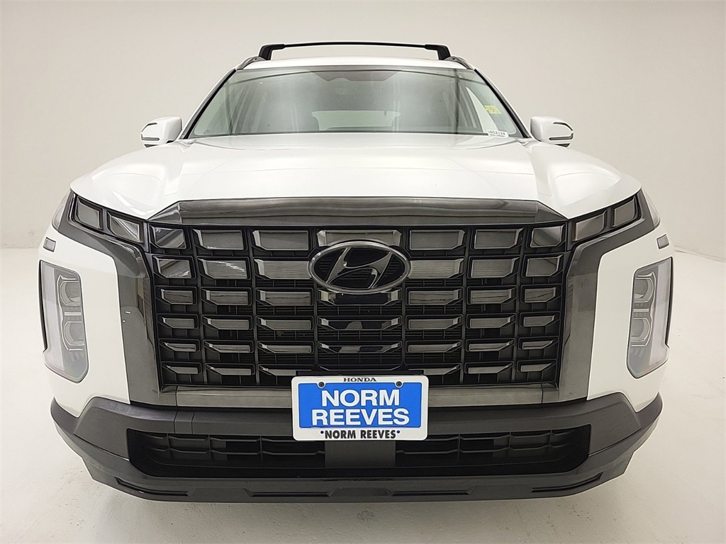 2024 Hyundai Palisade XRT 19