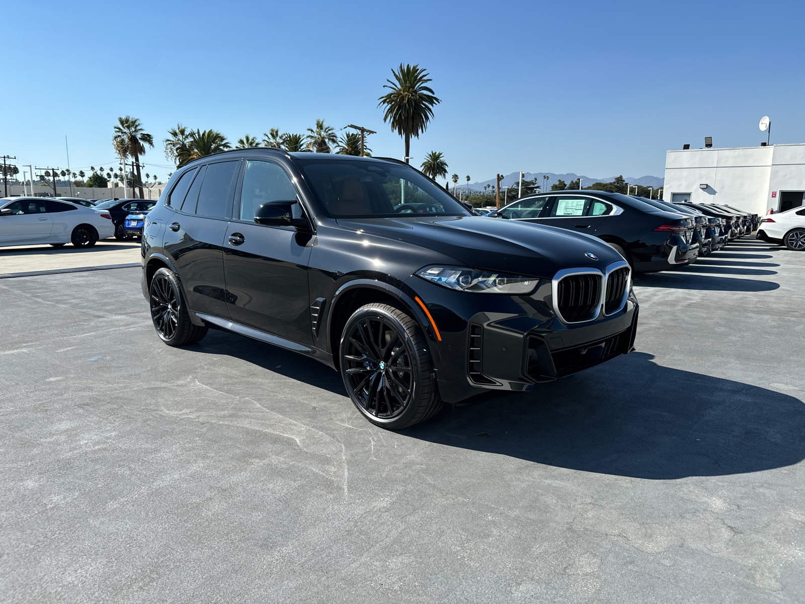 2025 BMW X5 M60i 3