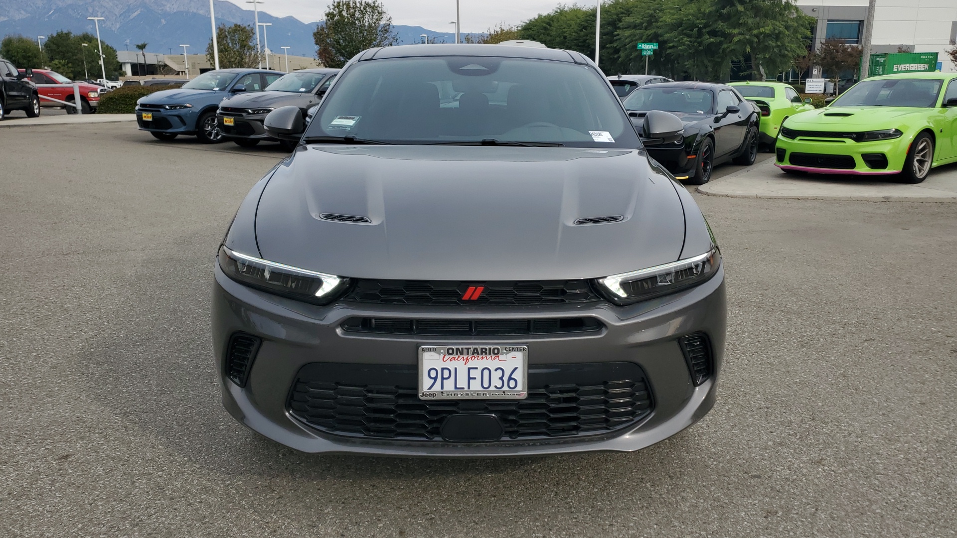 2024 Dodge Hornet R/T Plus 8