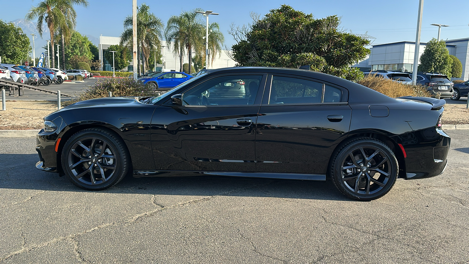 2023 Dodge Charger R/T 6