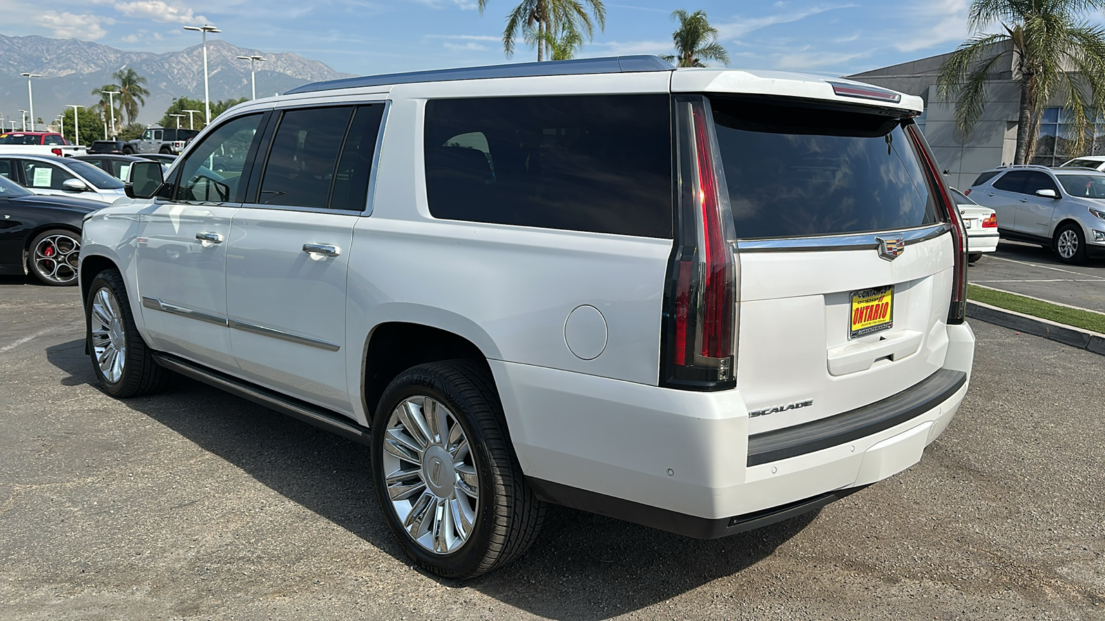 2020 Cadillac Escalade ESV Platinum Edition 6