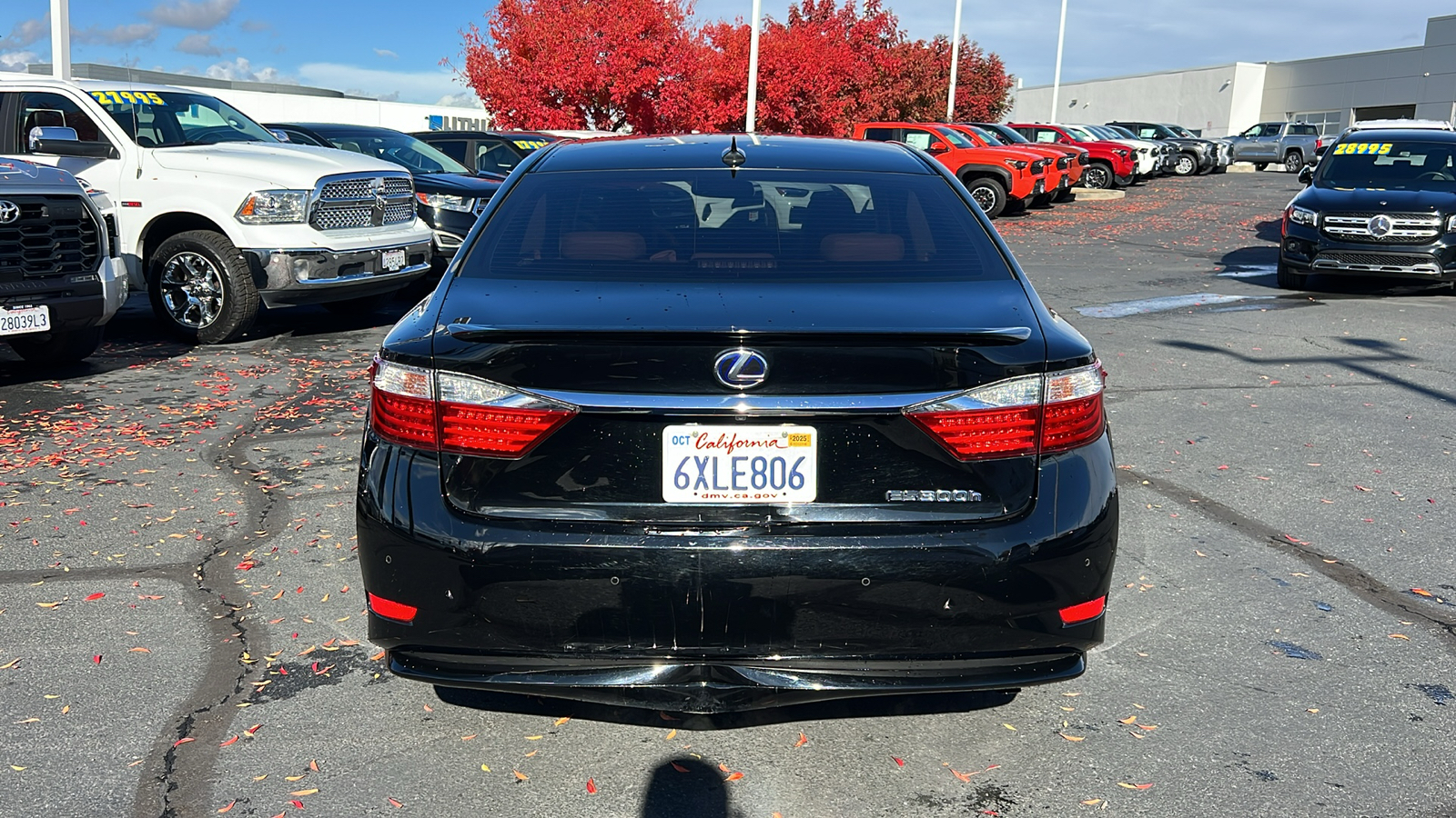 2013 Lexus ES 300h Hybrid 5