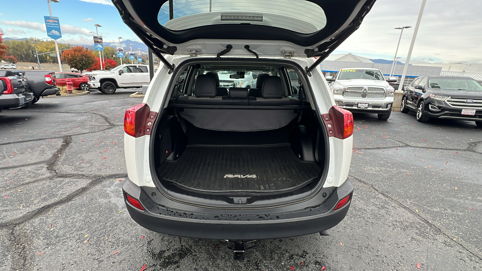 2014 Toyota RAV4 Limited 19