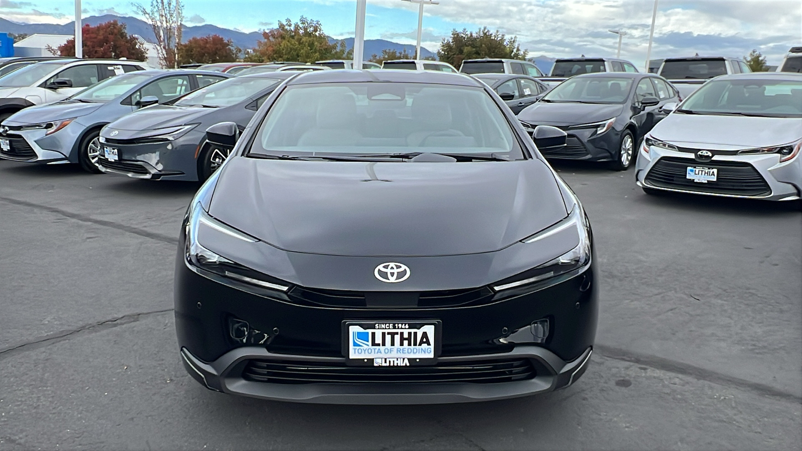 2024 Toyota Prius  6