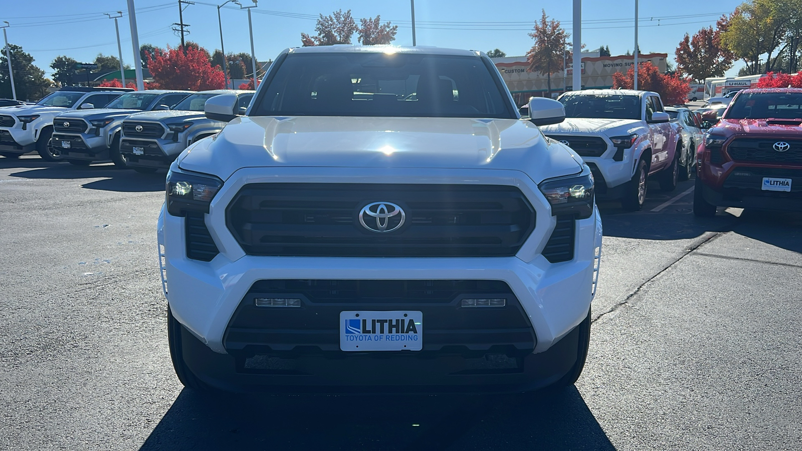 2024 Toyota Tacoma  6