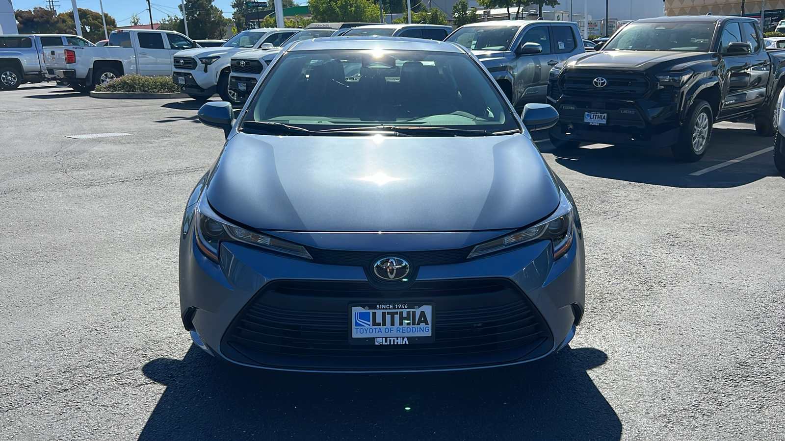 2024 Toyota Corolla  6