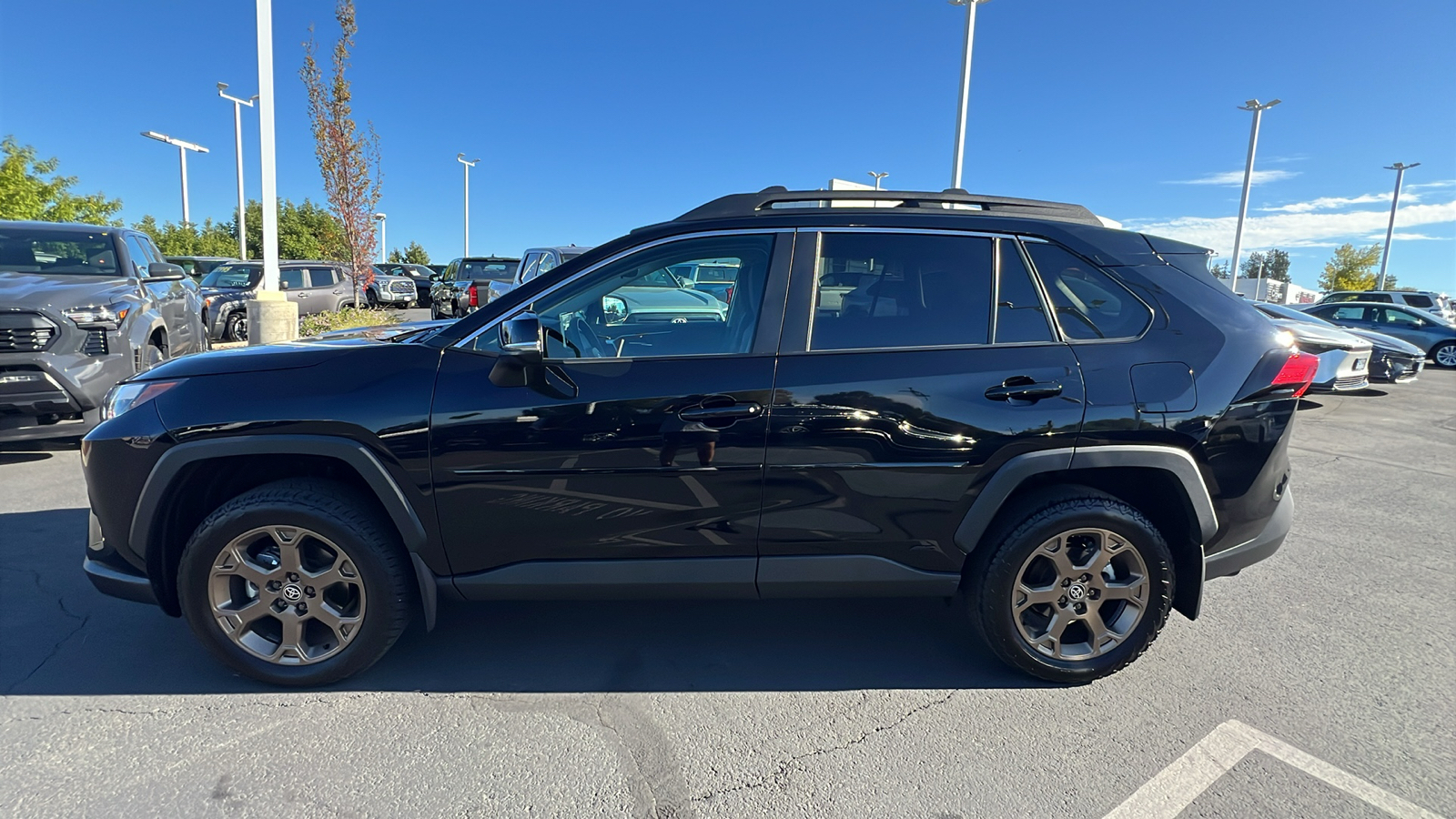 2024 Toyota RAV4 Hybrid Woodland 3