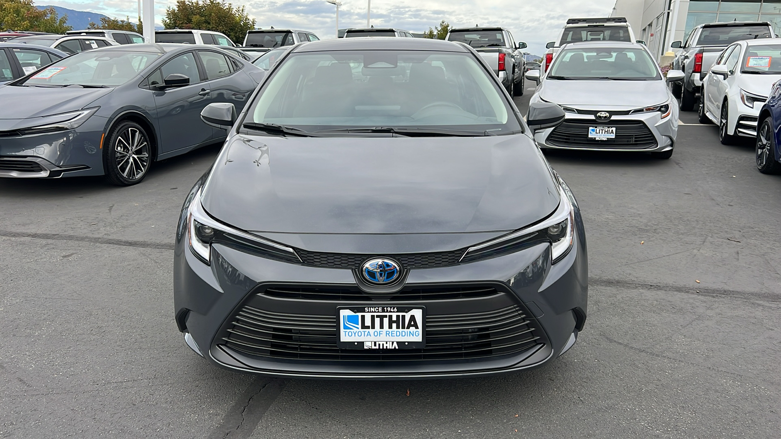 2025 Toyota Corolla Hybrid  6