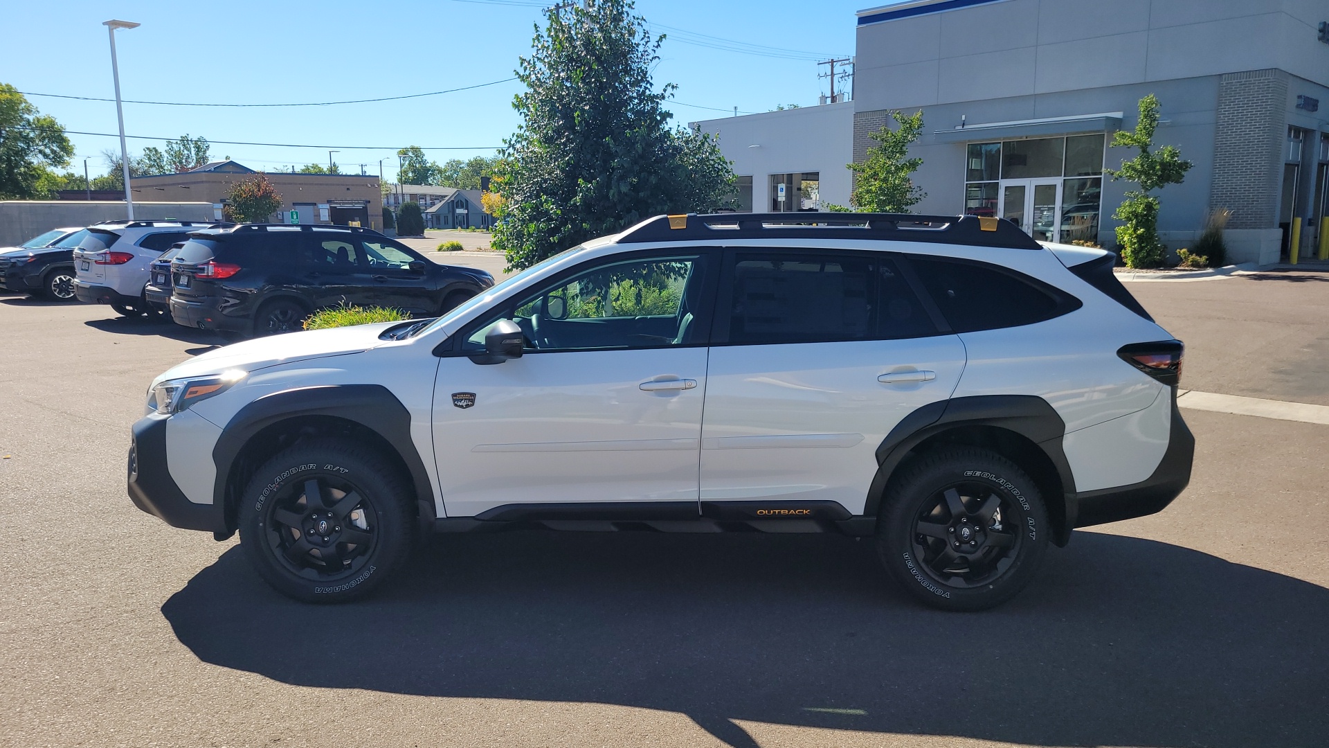 2025 Subaru Outback Wilderness 8