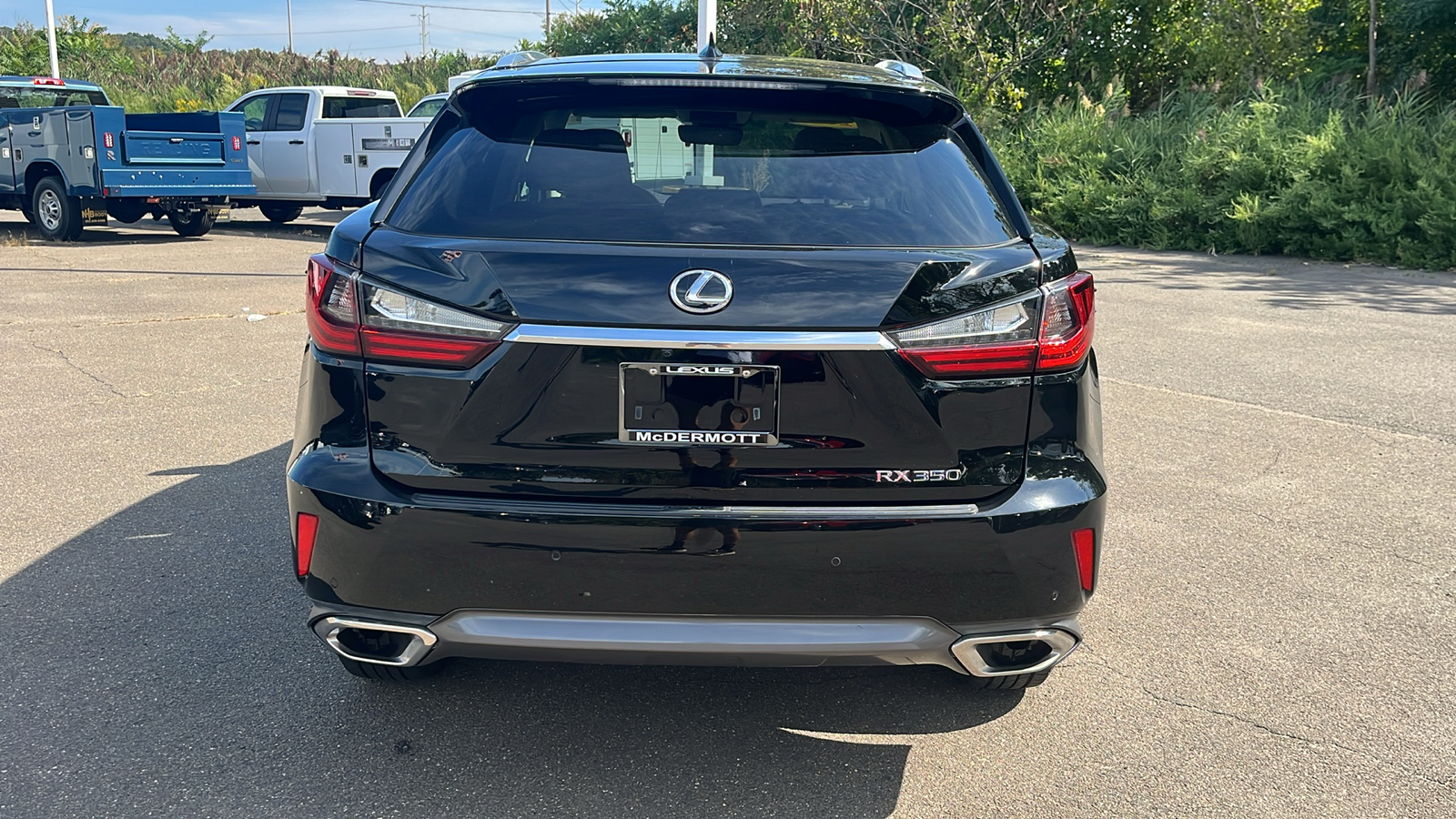 2016 Lexus RX 350 Base 6