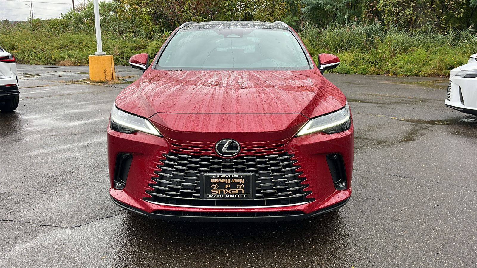 2024 Lexus RX  350 LUXURY AWD 2