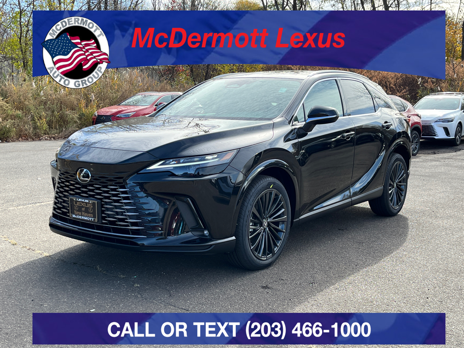 2024 Lexus RX  350 PREMIUM AWD 1